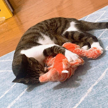 Flapping Lobster Cat Toy Cat Toys KittyNook Cat Company